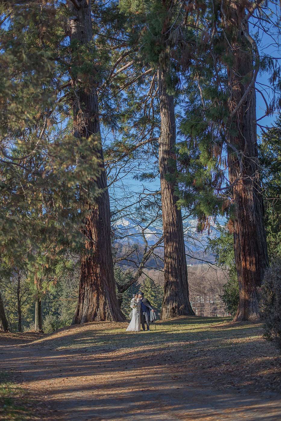 foto sposi sotto alberi secolari